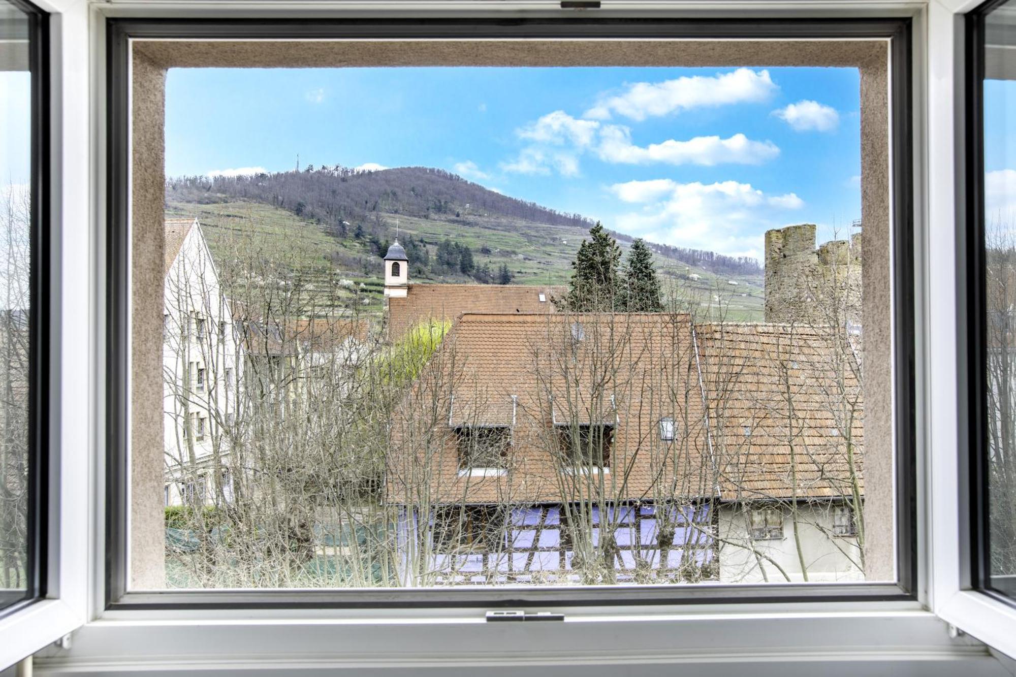 Choupette De La Vallee Avec Garage Kaysersberg-Vignoble Zewnętrze zdjęcie